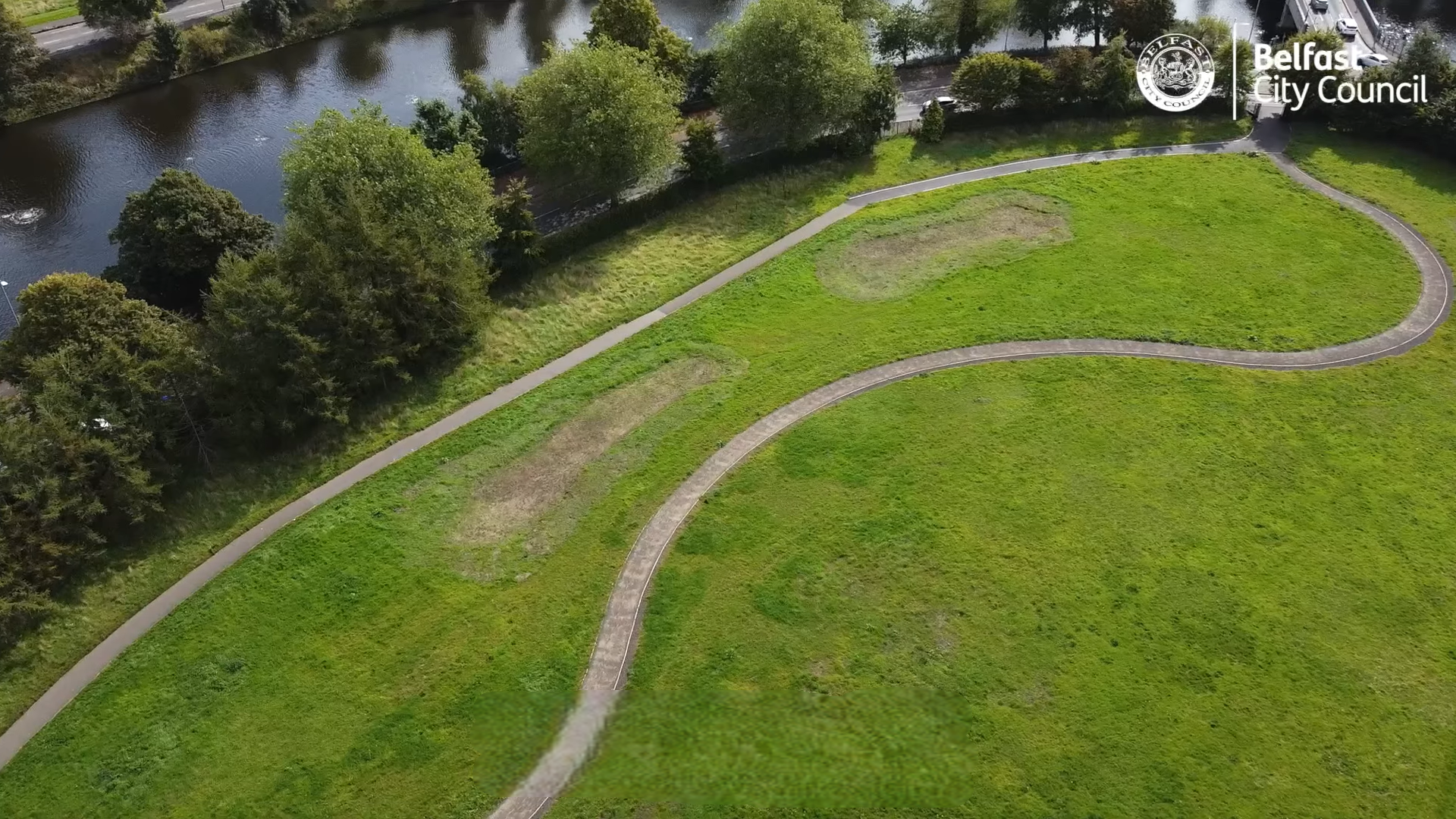 Restoring Species Rich Grassland in Belfast